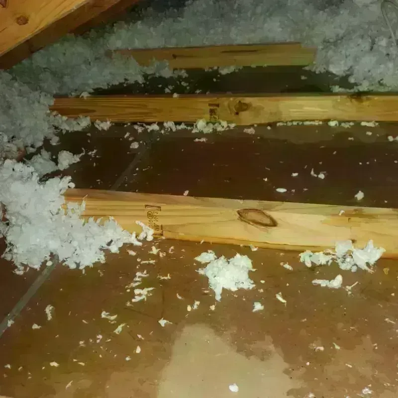 Attic Water Damage in Lafayette, CA