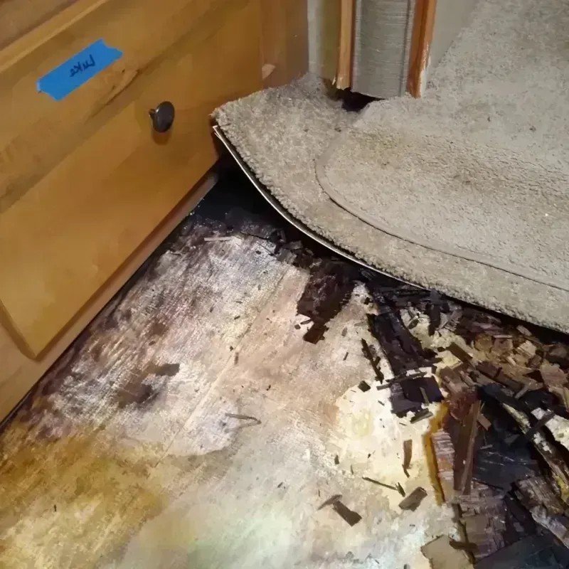 Wood Floor Water Damage in Lafayette, CA